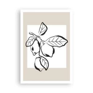 Póster - Donde el limón madura... - 70x100 cm