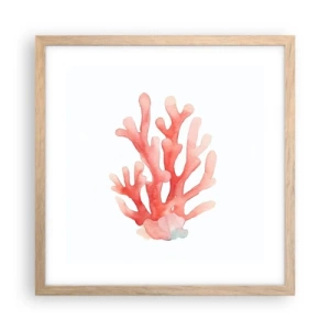 Póster en marco roble claro - La hermosura del color coral - 40x40 cm