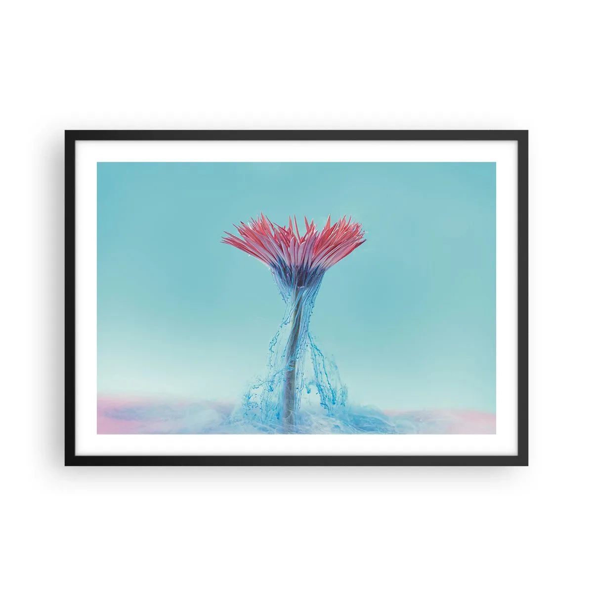 Póster en marco negro - Una flor rosa y azul en un arreglo artístico sobre un fondo pastel. - 70x50cm - En un abrazo vigorizante - Decoración de pared moderna para salón y dormitorio ARTTOR
