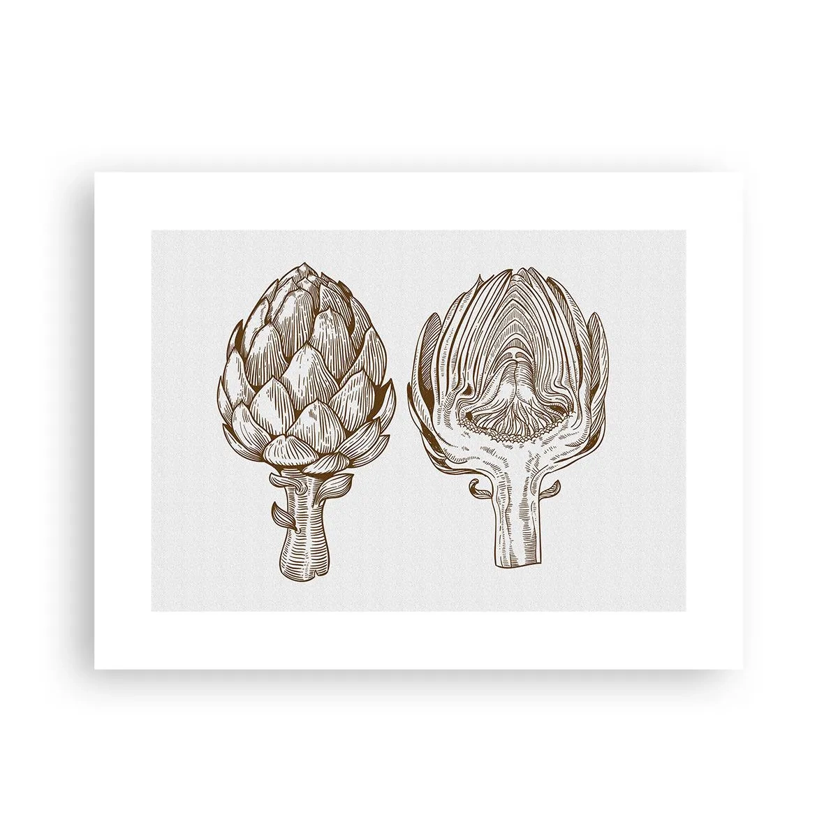 Póster - Lección de anatomía - 40x30 cm