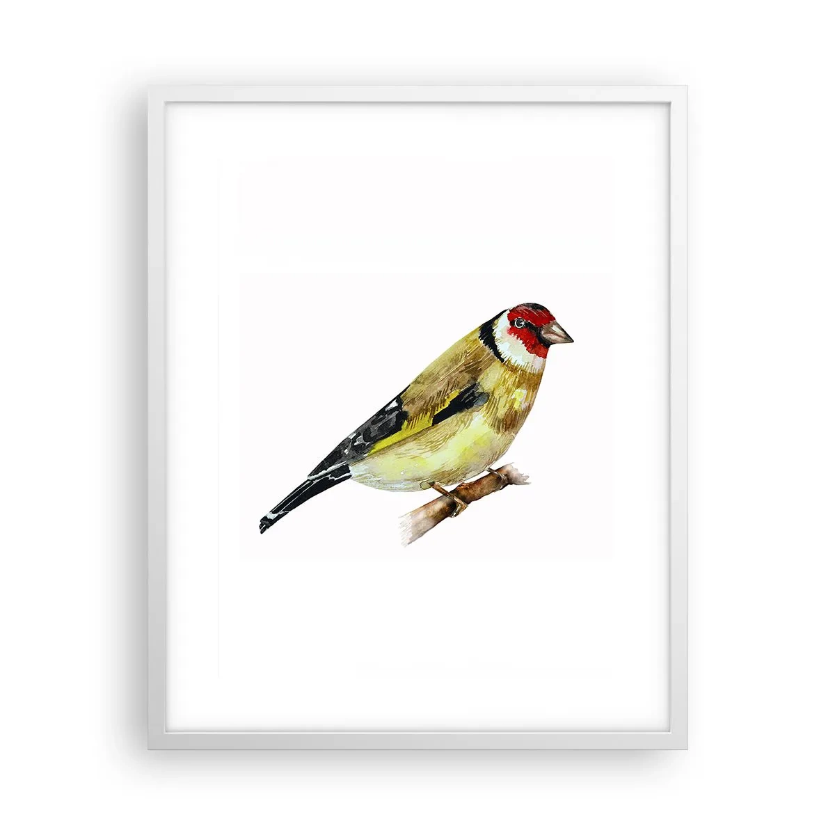 Póster en marco blanco - Retrato de pájaro - 40x50 cm