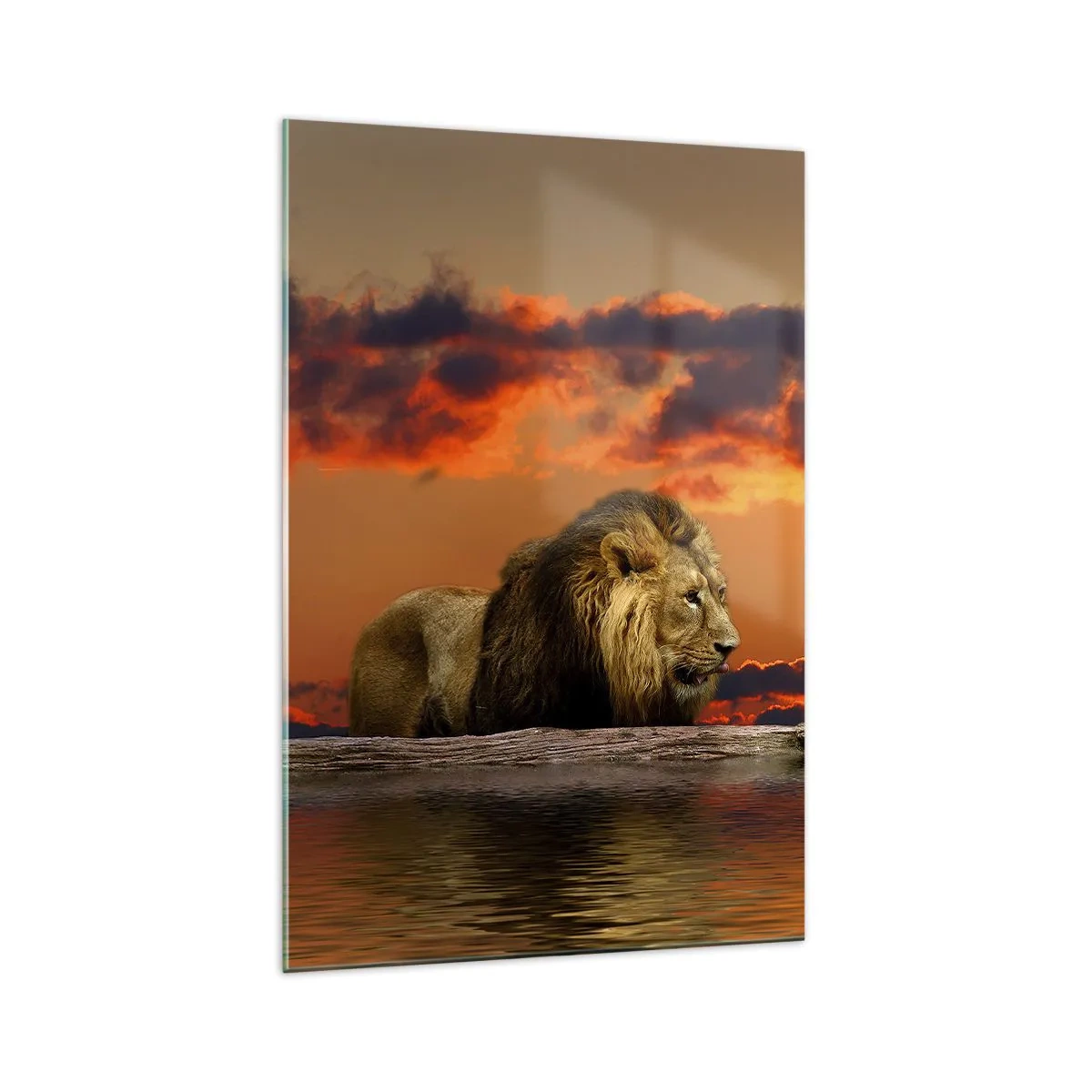 Cuadro sobre vidrio - Impresiones sobre Vidrio - Un león descansa junto al agua al atardecer con un cielo dramático. - 70x100cm - Rey de la naturaleza - Decoración de pared moderna para salón y dormitorio ARTTOR