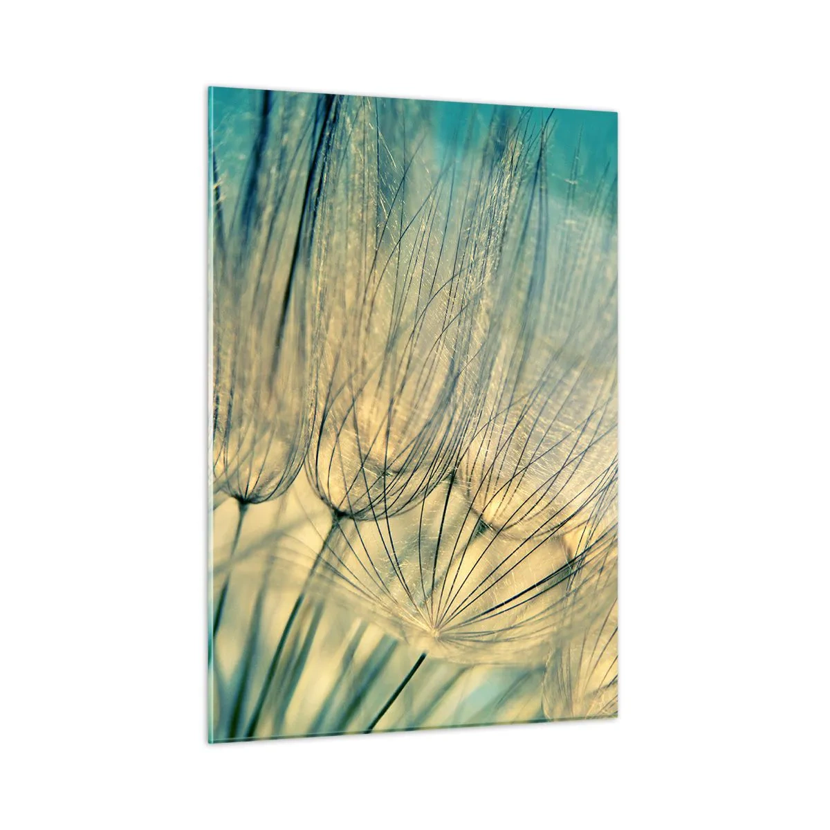 Cuadro sobre vidrio - Impresiones sobre Vidrio - Fotografía macro de un diente de león sobre un fondo turquesa. - 50x70cm - Esperando el viento - Decoración de pared moderna para salón y dormitorio ARTTOR