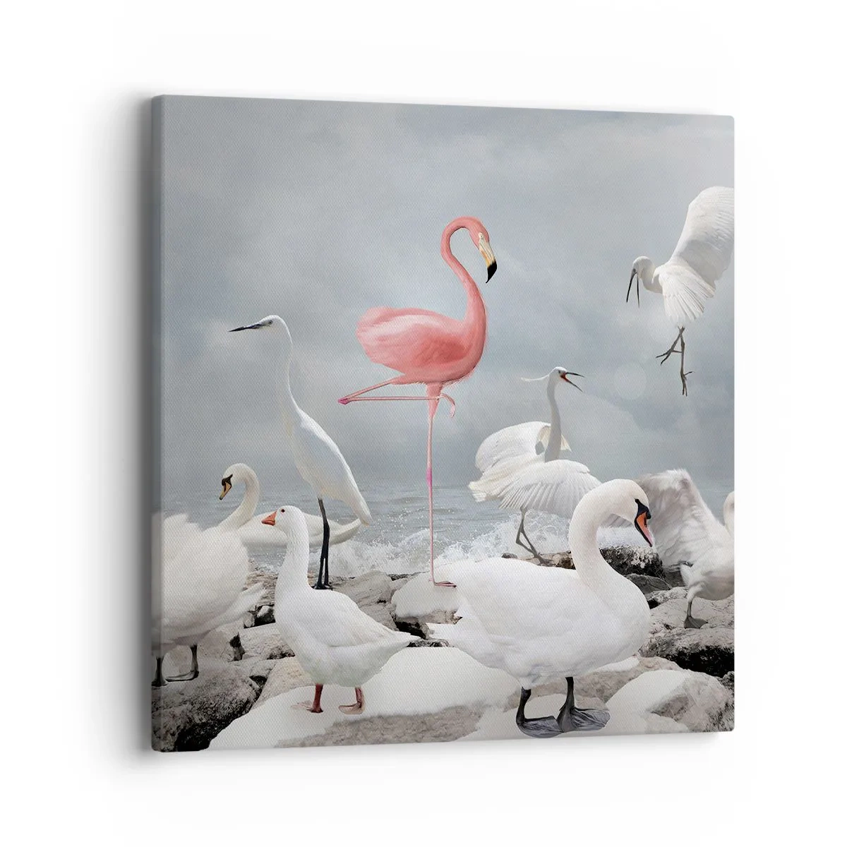 Cuadro sobre lienzo - Impresión de Imagen - ¿De dónde vengo? - 40x40 cm