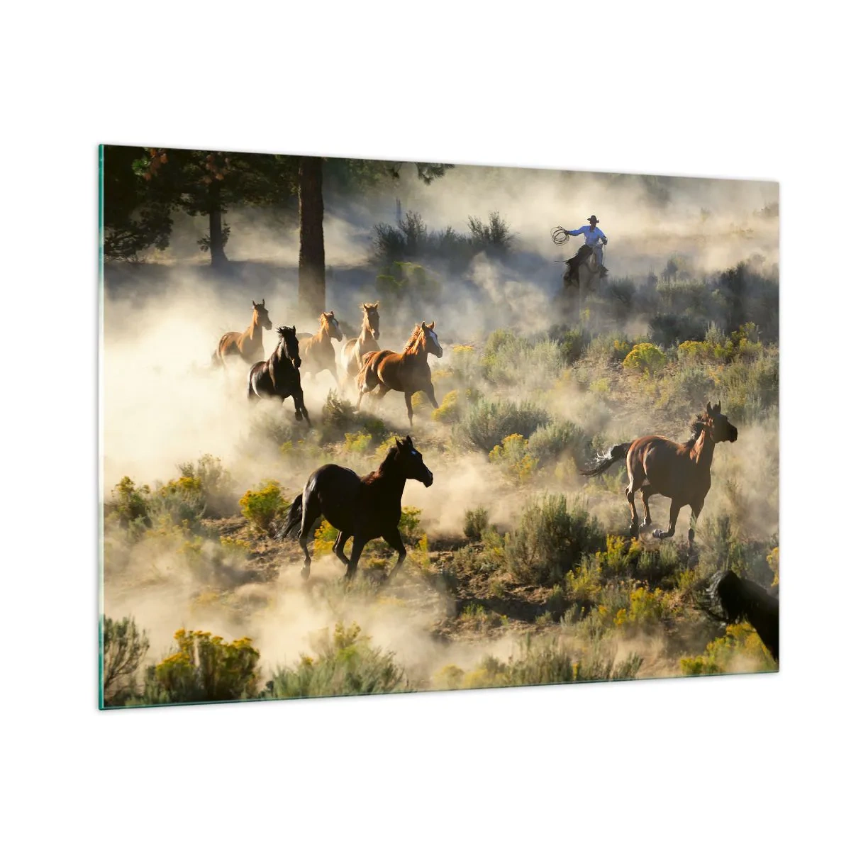 Cuadro sobre vidrio - Impresiones sobre Vidrio - Una manada de caballos galopando a través del polvo y un vaquero con la naturaleza como telón de fondo. - 100x70cm - Rivalidad: ¿libertad o fuerza? - Decoración de pared moderna para salón y dormitorio ARTT
