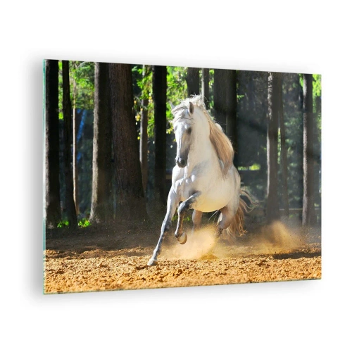 Cuadro sobre vidrio - Impresiones sobre Vidrio - Un caballo blanco galopa sobre terreno arenoso en el bosque. - 70x50cm - Como en una novela de fantasía - Decoración de pared moderna para salón y dormitorio ARTTOR