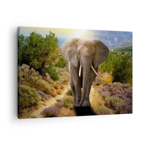 Cuadro sobre lienzo - Impresión de Imagen - Un elefante africano frente a un paisaje de sabana y montaña. - 70x50cm - Este es el aspecto del Edén - Decoración de pared moderna para salón y dormitorio ARTTOR