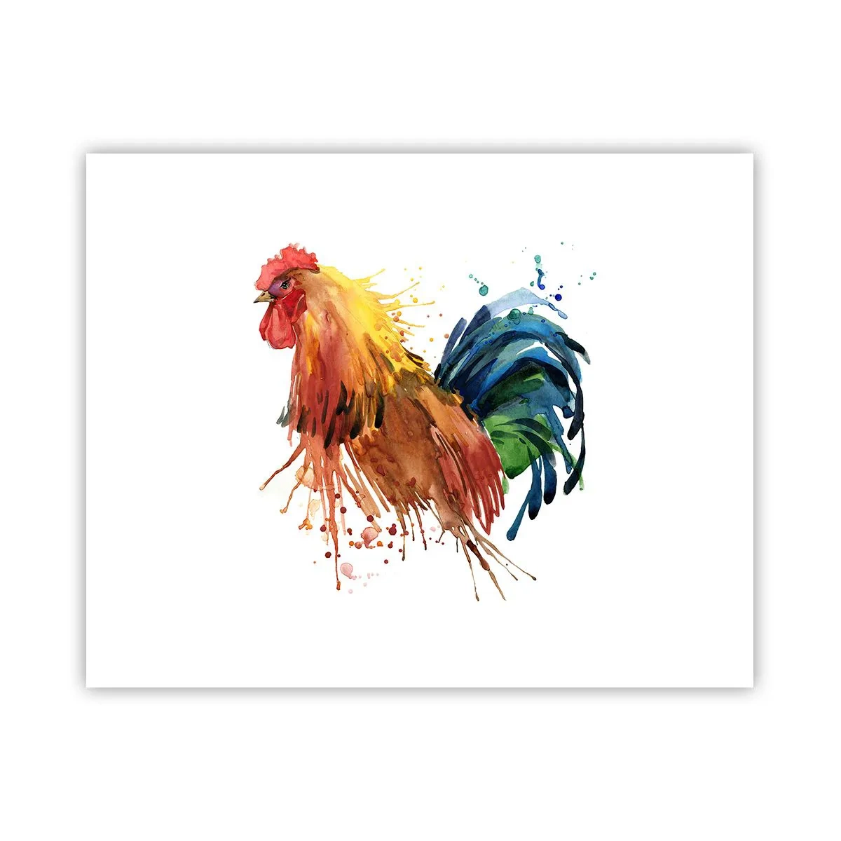 Póster - Un manto real, un orgullo real - 50x40 cm