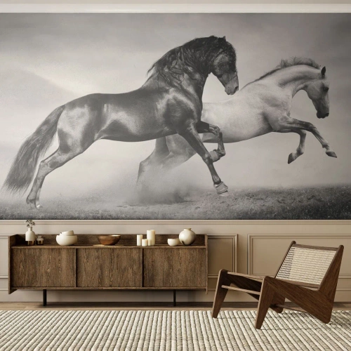 Fotomural Standard Eco - Caballos blancos y negros en un galope dinámico - 100x70cm - Ángeles y demonios - Decoración de pared moderna para salón y dormitorio ARTTOR