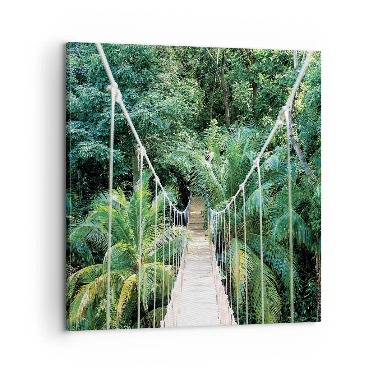 Cuadro sobre lienzo - Impresión de Imagen - ¡Bienvenido a la selva! - 60x60 cm
