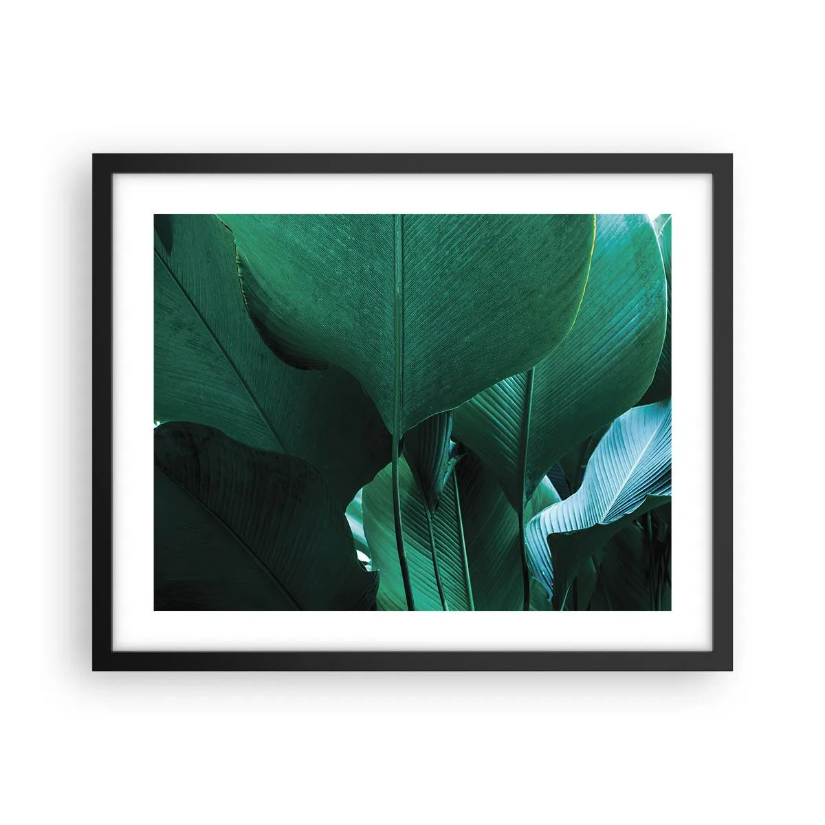 Póster en marco negro - De cara a la luz - 50x40 cm
