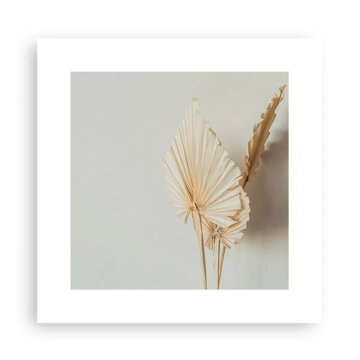 Póster - Armonía y consuelo - 30x30 cm