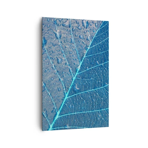 Cuadro sobre lienzo - Impresión de Imagen - Una hoja en tonos azules con gotas de agua. - 80x120cm - Vida en el azul - Decoración de pared moderna para salón y dormitorio ARTTOR
