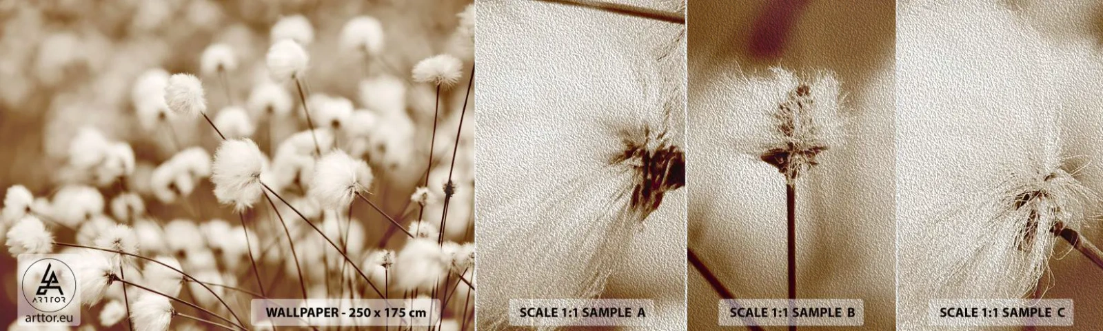 Muestra de fotomural Premium Sand - Un mullido colchón - Flor de algodon, Flor, Ramita de algodón - 100x30 cm