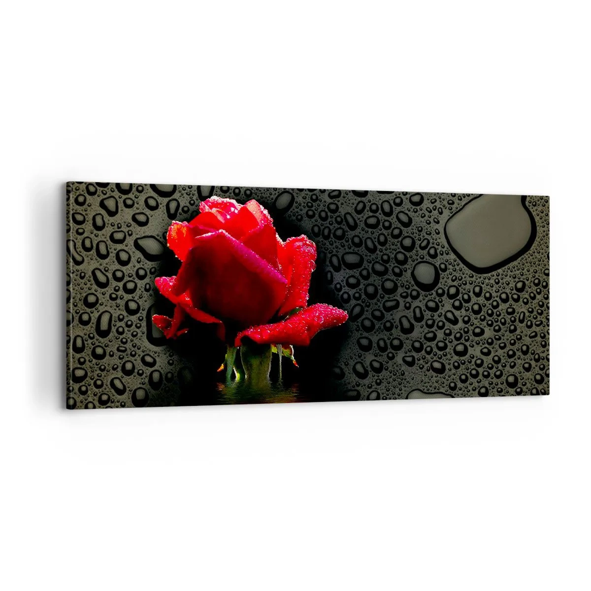 Cuadro sobre lienzo - Impresión de Imagen - Rojo y negro - 100x40 cm