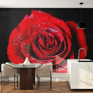 Fotomural personalizado Standard Eco - Eso es el amor - flores, Rosa roja, Pétalos de rosa