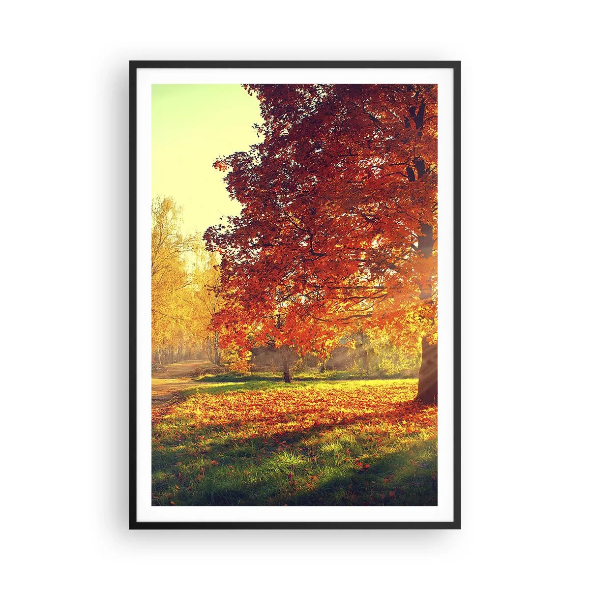 Póster en marco negro - El rojo es hermoso - 70x100 cm