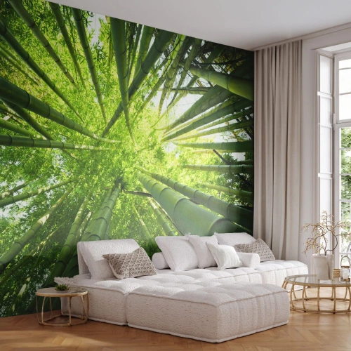 Fotomural Premium Sand - En un bosquecillo de bambú - Bosque de bambú, Selva, Bambú - 350x256 cm