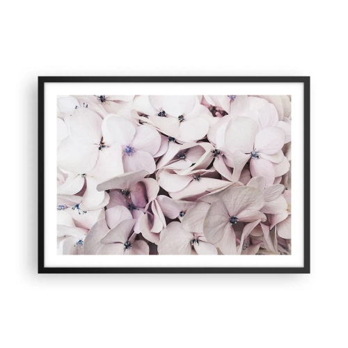Póster en marco negro - Delicadas hortensias blancas en tonos pastel. - 70x50cm - En un torrente de flores - Decoración de pared moderna para salón y dormitorio ARTTOR