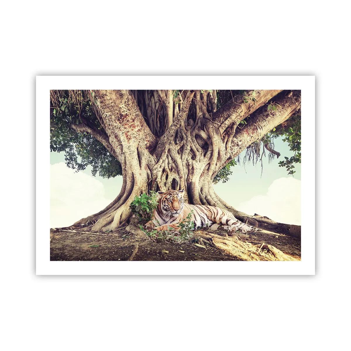 Póster - Una visión desde el Génesis - 70x50 cm