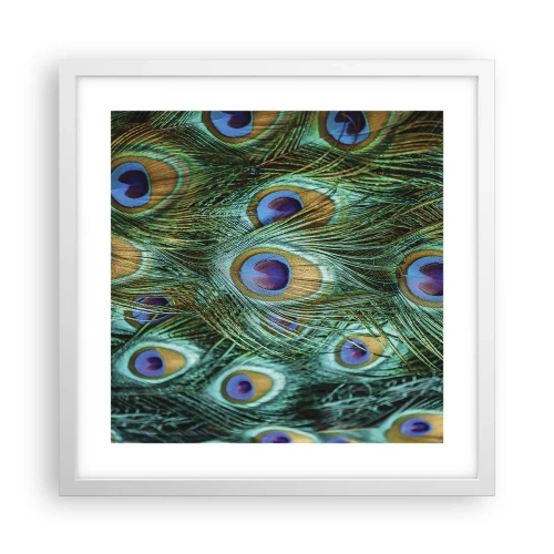 Póster en marco blanco - Mirada de pavo real - 40x40 cm