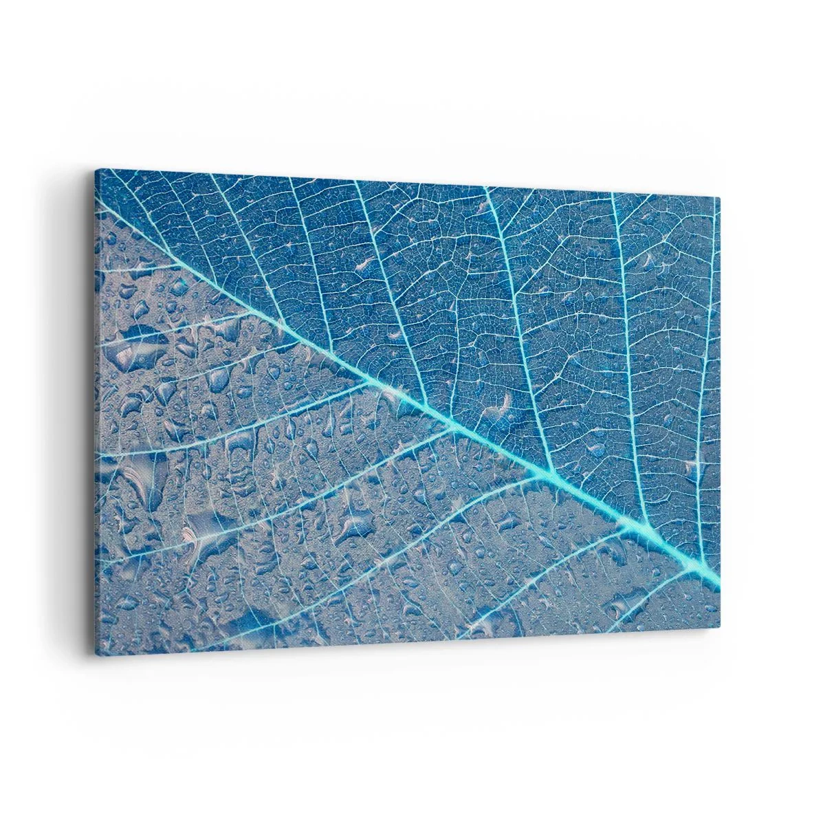 Cuadro sobre lienzo - Impresión de Imagen - Una hoja en tonos azules con gotas de agua. - 120x80cm - Vida en el azul - Decoración de pared moderna para salón y dormitorio ARTTOR