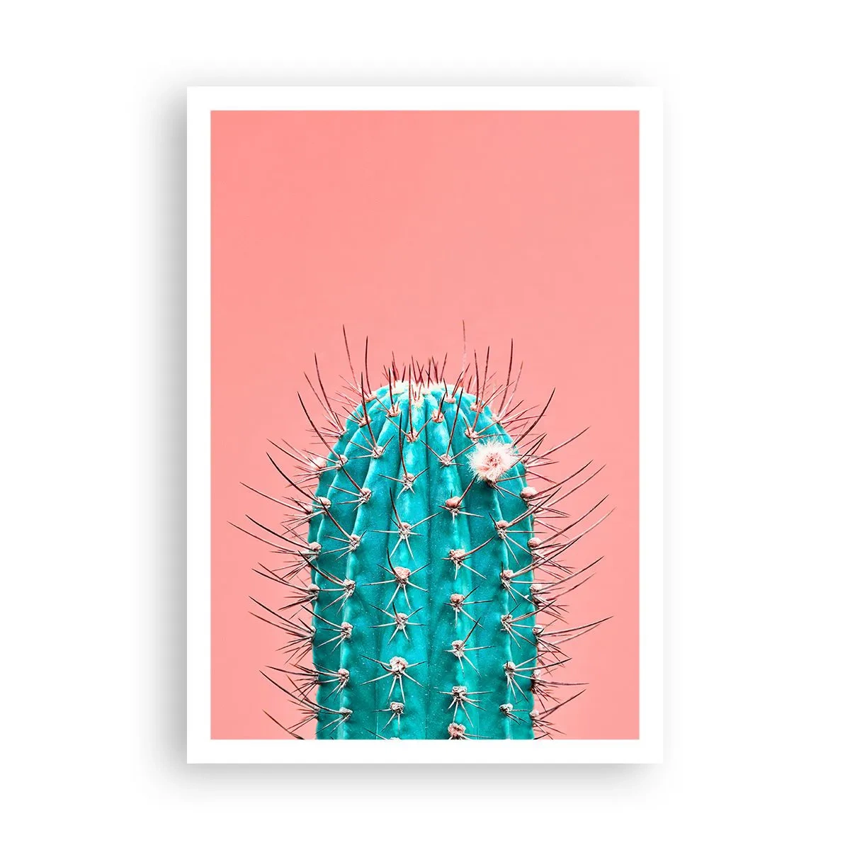 Póster - Se mira, pero no se toca - 70x100 cm