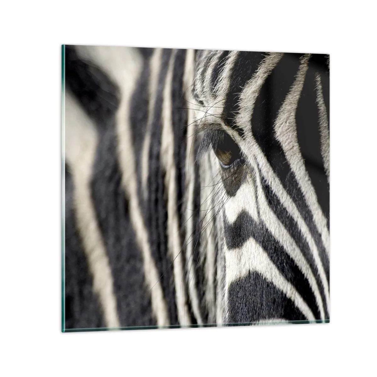Cuadro sobre vidrio - Impresiones sobre Vidrio - Retrato a rayas - 30x30 cm