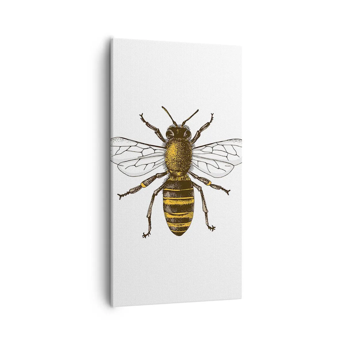 Cuadro sobre lienzo - Impresión de Imagen - Bondad natural - 55x100 cm