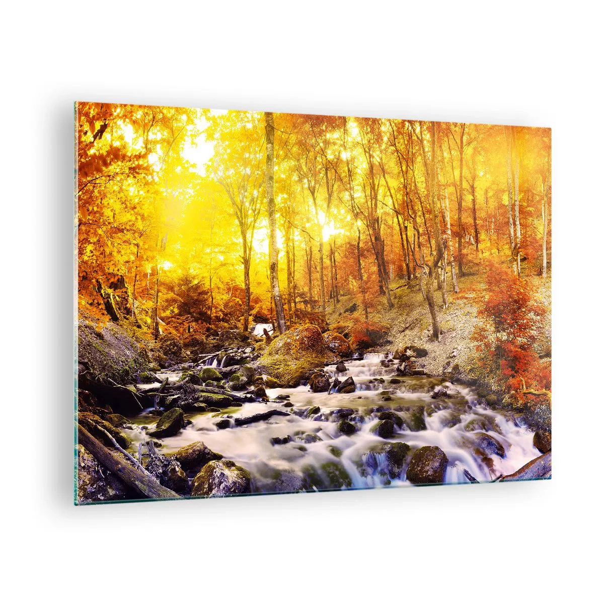 Cuadro sobre vidrio - Impresiones sobre Vidrio - Bosque otoñal con un río bajo los rayos de luz cálida. - 70x50cm - Piedras bañadas en oro y platino - Decoración de pared moderna para salón y dormitorio ARTTOR