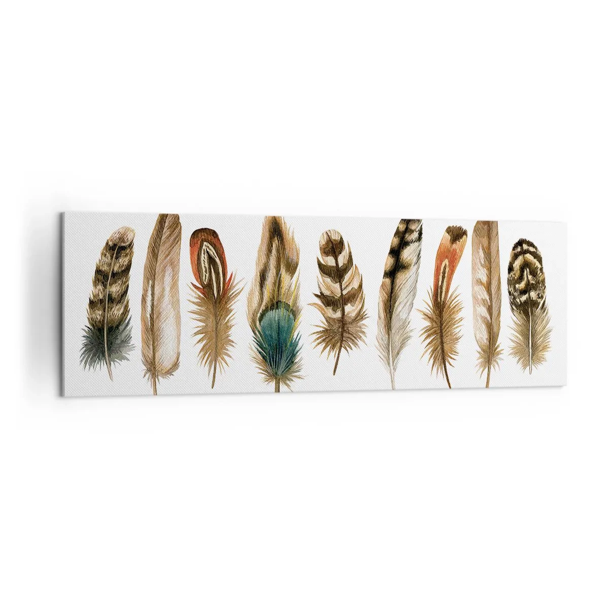 Cuadro sobre lienzo - Impresión de Imagen - Motivo decorativo de una colección de varias plumas. - 160x50cm - Estudio de plumas - Decoración de pared moderna para salón y dormitorio ARTTOR