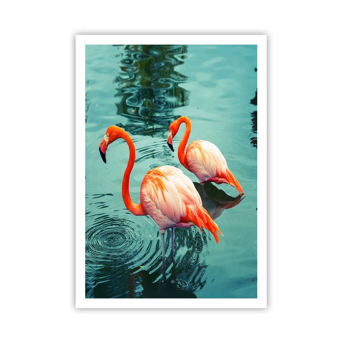 Póster - Estamos de moda - 70x100 cm