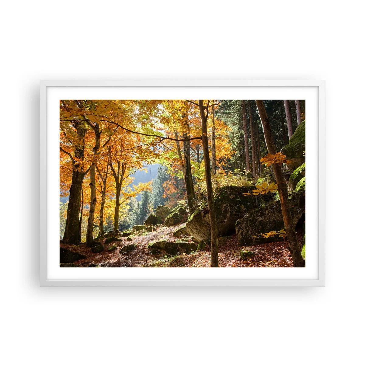 Póster en marco blanco - Tiempo de descanso - 70x50 cm