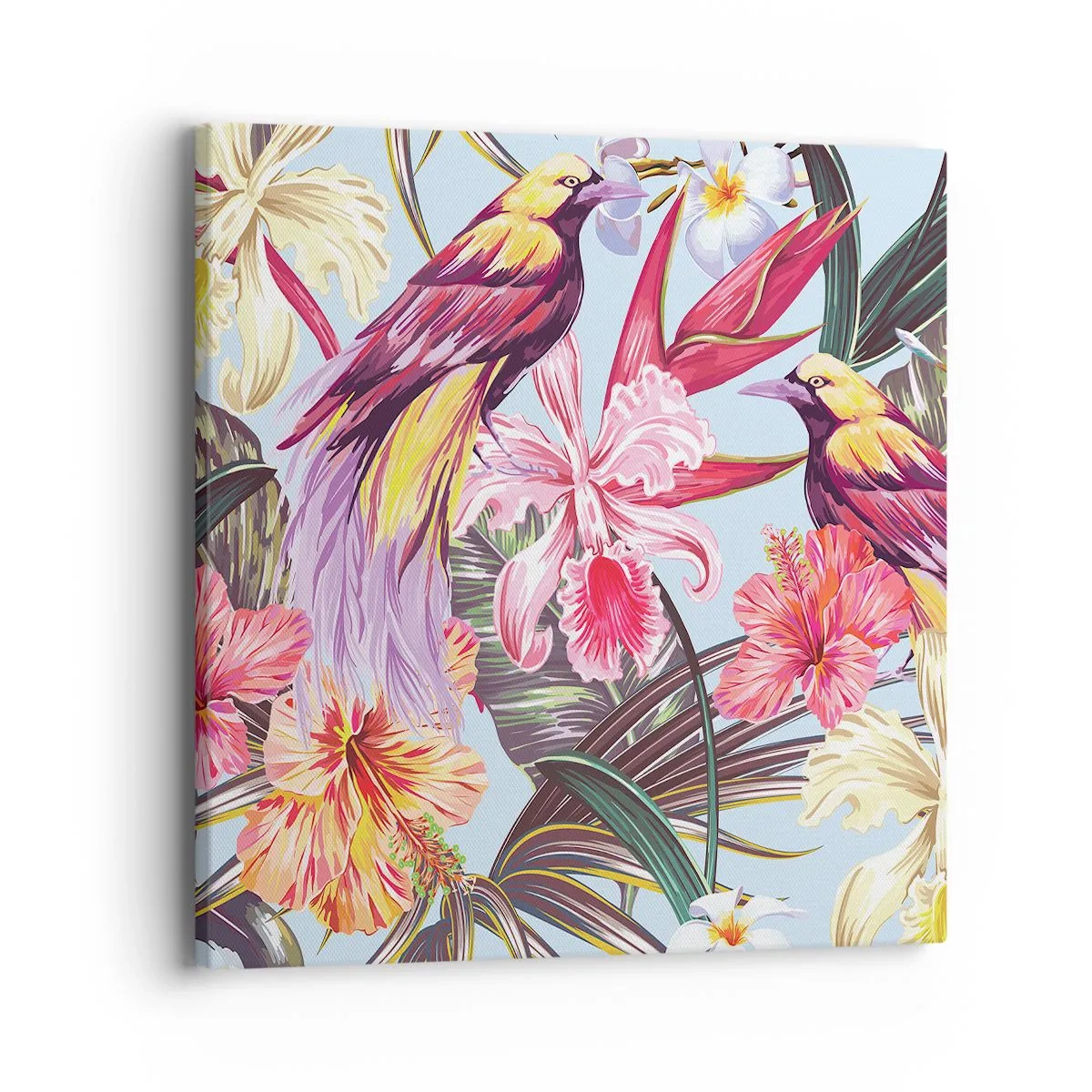 Cuadro sobre lienzo - Impresión de Imagen - Pétalos y plumas - 40x40 cm