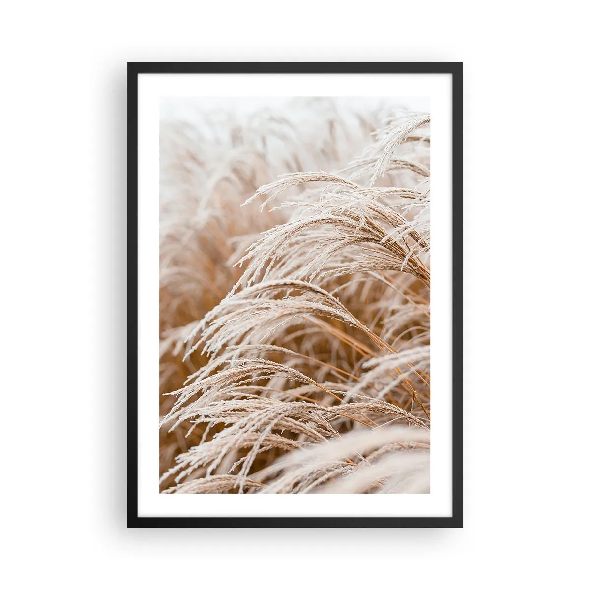 Póster en marco negro - Primer plano de hierbas heladas en un paisaje invernal - 50x70cm - El sol de otoño - Decoración de pared moderna para salón y dormitorio ARTTOR