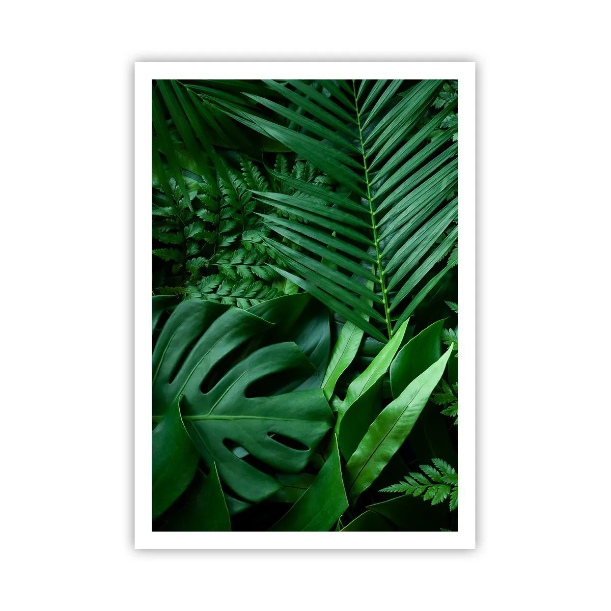 Póster - Abrazo verde - 70x100 cm