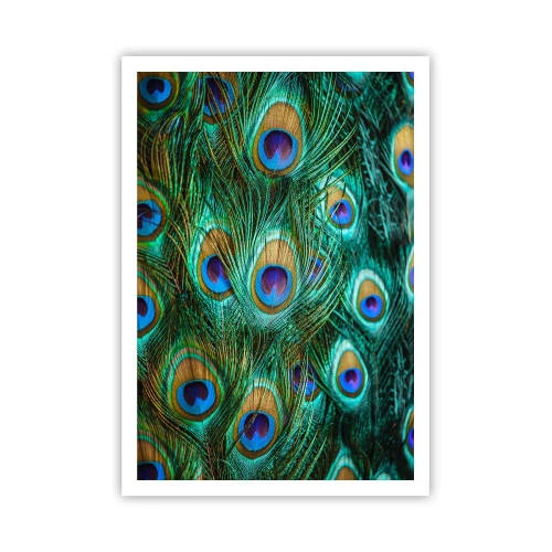 Póster - Mirada de pavo real - 70x100 cm