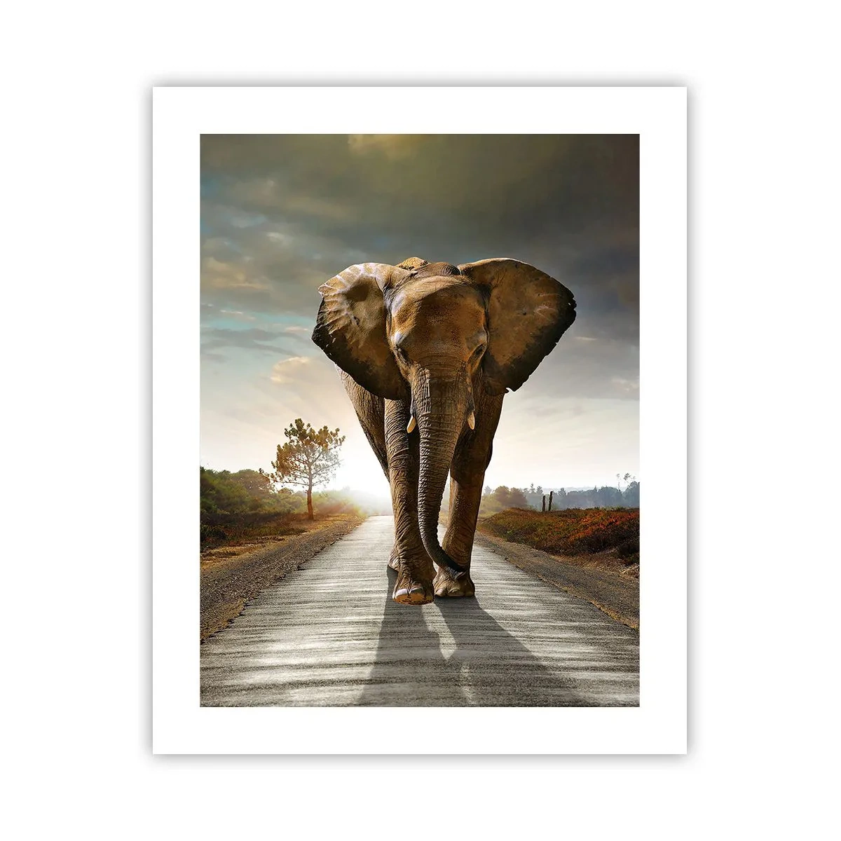 Póster - Y para nada en un almacén de porcelana - 40x50 cm