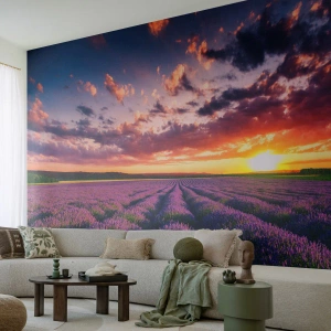 Fotomural personalizado Premium Sand - El mundo de la lavanda - Paisaje, campo de lavanda, Lavanda