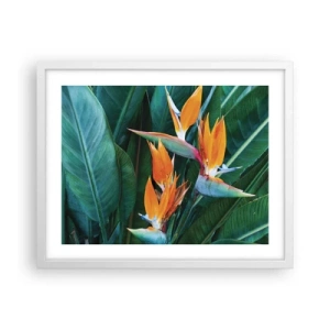 Póster en marco blanco - ¿Es una flor o es un pájaro? - 50x40 cm