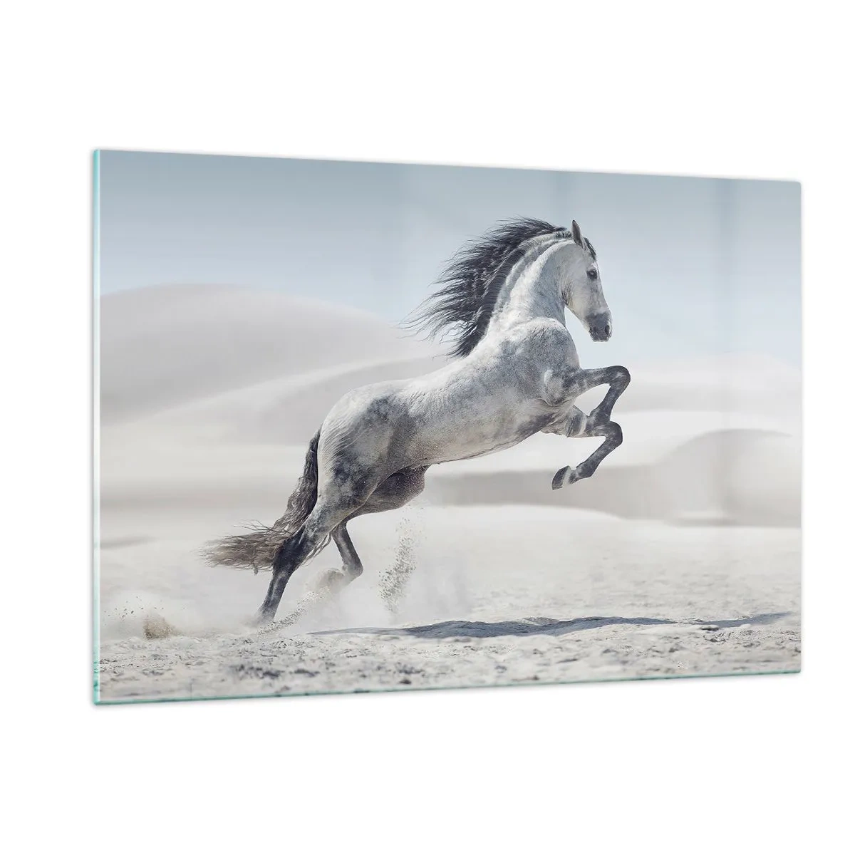 Cuadro sobre vidrio - Impresiones sobre Vidrio - Un caballo blanco saltando con el telón de fondo de las dunas del desierto. - 120x80cm - Un príncipe árabe - Decoración de pared moderna para salón y dormitorio ARTTOR