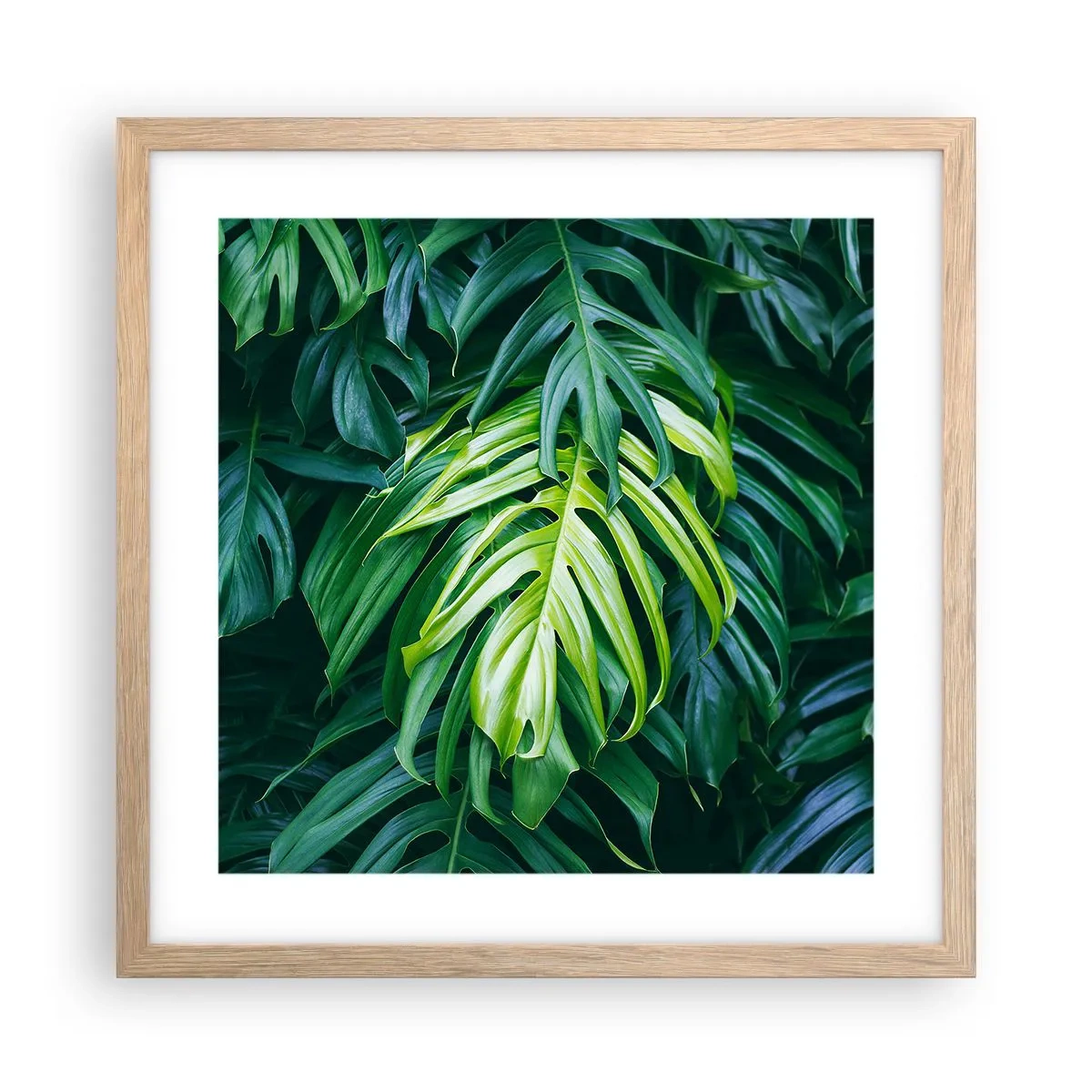 Póster en marco roble claro - Sumérjase en la frescura - 40x40 cm