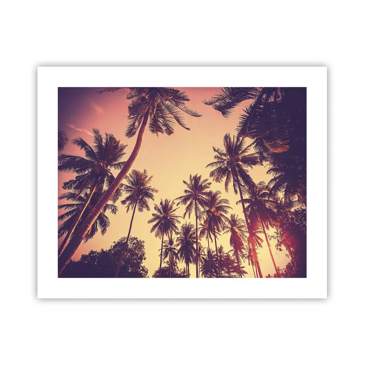 Póster - Variante tropical - 50x40 cm