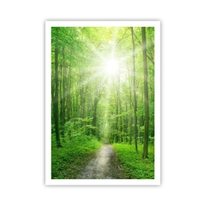 Póster - Catedral verde - 70x100 cm