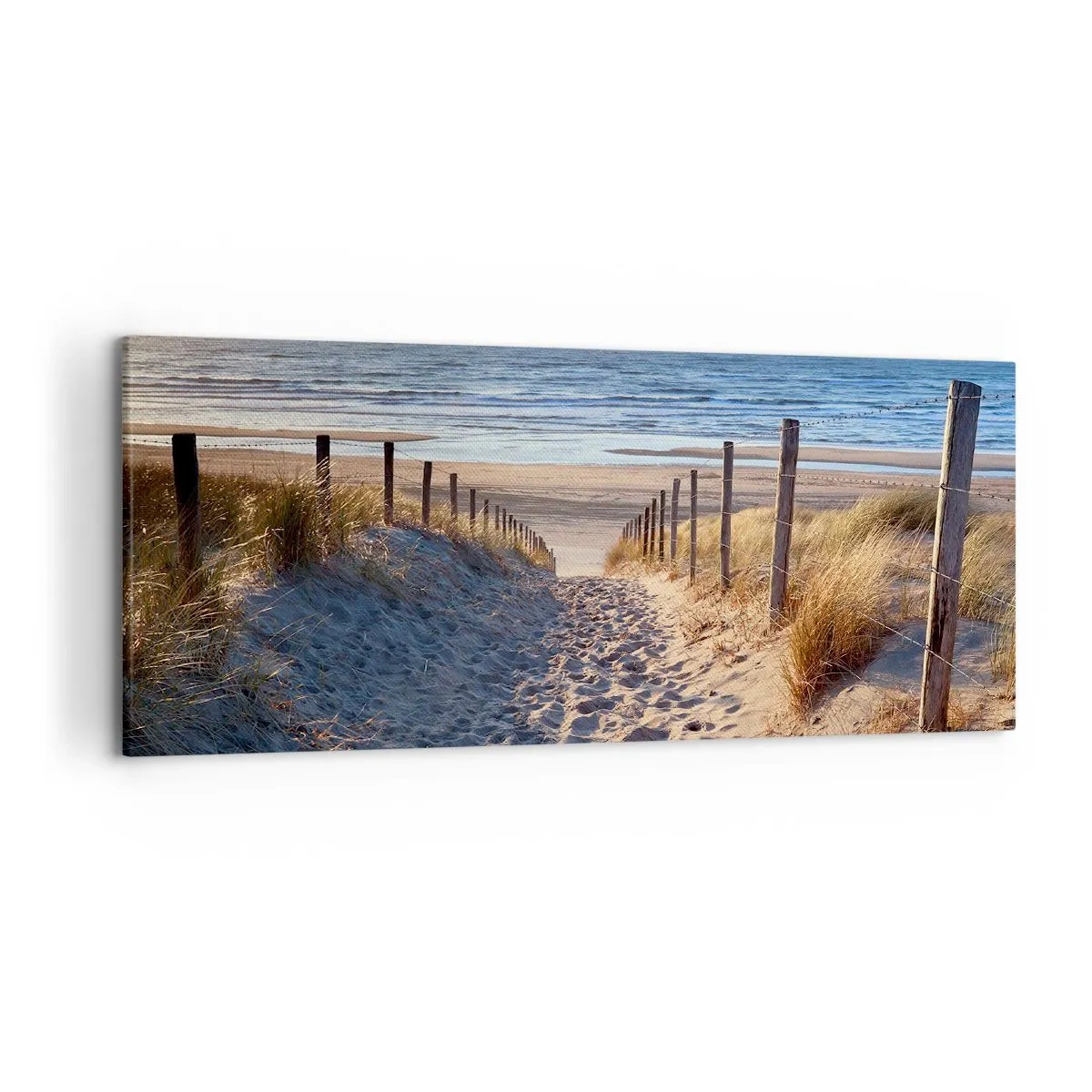 Cuadro sobre lienzo - Impresión de Imagen - Camino a través de las dunas que conduce a la playa. - 120x50cm - El sonido del mar, el canto de los pájaros, una playa virgen entre las dunas... - Decoración de pared moderna para salón y dormitorio ARTTOR