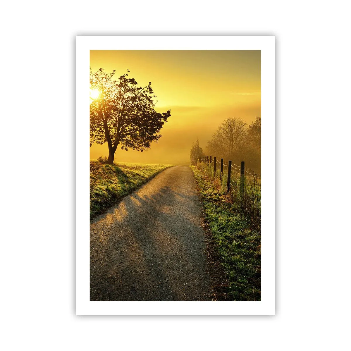 Póster - Un camino entre los campos al amanecer. - 50x70cm - Tarde melosa - Decoración de pared moderna para salón y dormitorio ARTTOR