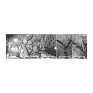 Muestra de fotomural autoadhesivo Deluxe Sticker - En un olivar - Bosque, Invierno, Árboles - 100x30 cm