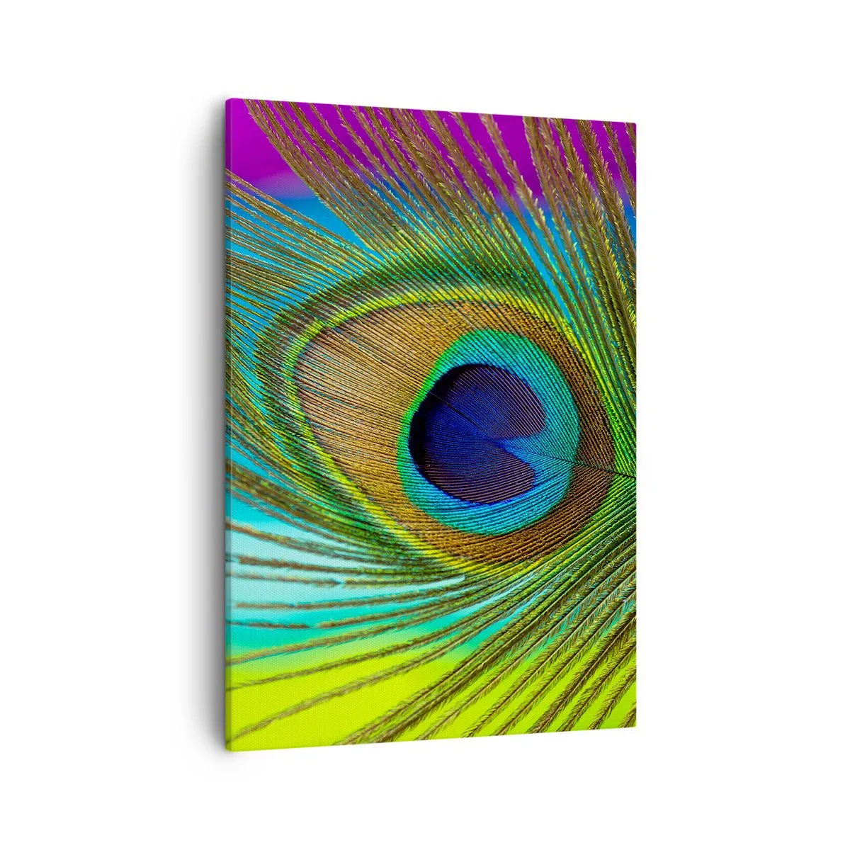 Cuadro sobre lienzo - Impresión de Imagen - Primer plano de una pluma de pavo real con colores vivos. - 50x70cm - Cara a cara - Decoración de pared moderna para salón y dormitorio ARTTOR