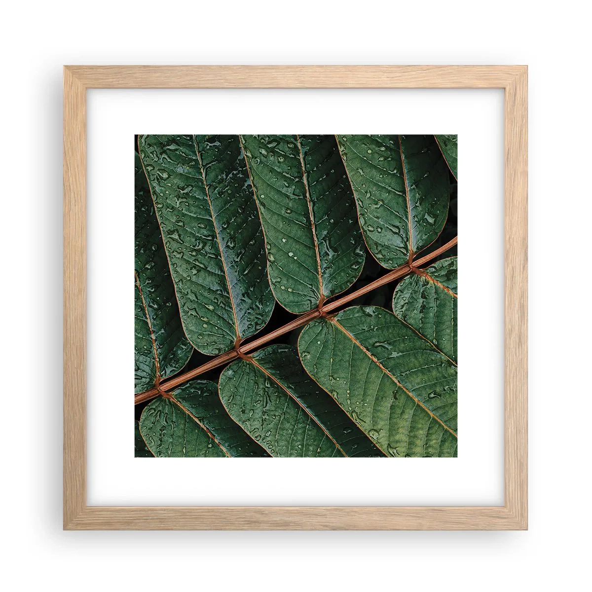 Póster en marco roble claro - En un ritmo verde - 30x30 cm