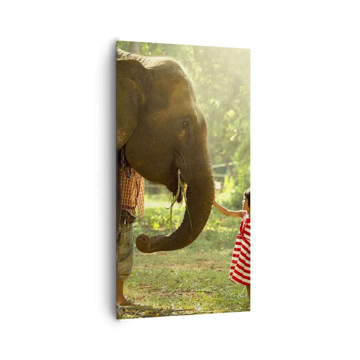 Cuadro sobre lienzo - Impresión de Imagen - El poder de la amistad - 65x120 cm